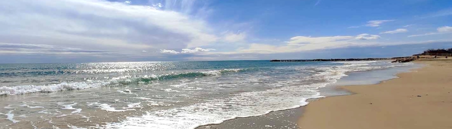 Plage des Aresquiers à Frontignan, au bord de la Méditerranée Plage des Aresquiers à Frontignan, au bord de la Méditerranée